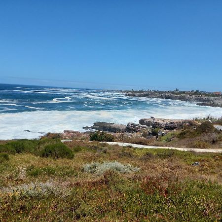 The Sun, Whales & Waves - Seafront Apartment Hermanus Exterior foto